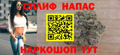 тгк Ефремов